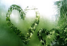 欧冠直播360高清直播靠谱吗？怎么用它看欧冠赛事？